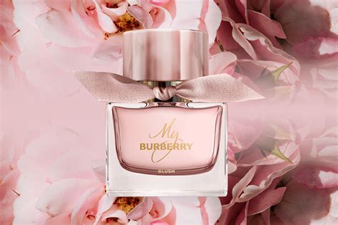 burberry bluse|Burberry my Burberry blush.